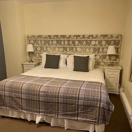 Oyo New Hotel 3*