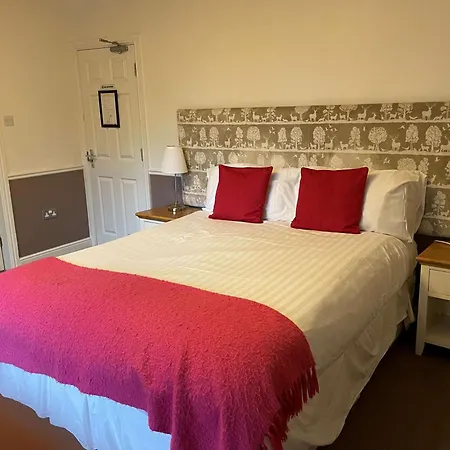 Oyo New Hotel 3*