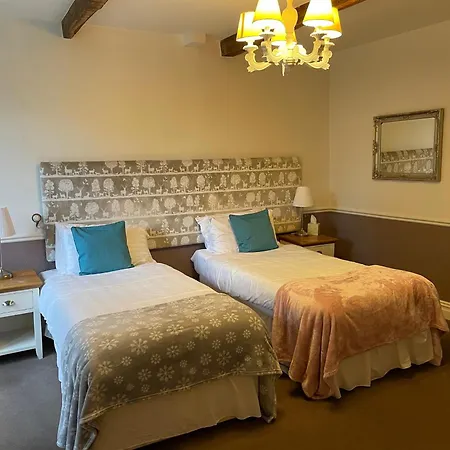 Oyo New Hotel 3*