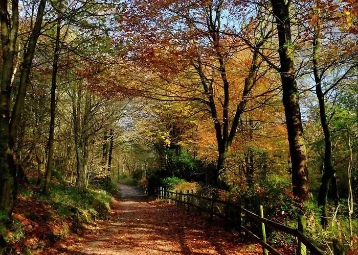 Hotel Oyo New Clapham (North Yorkshire)