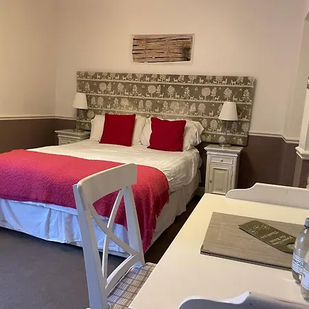 Oyo New Hotel